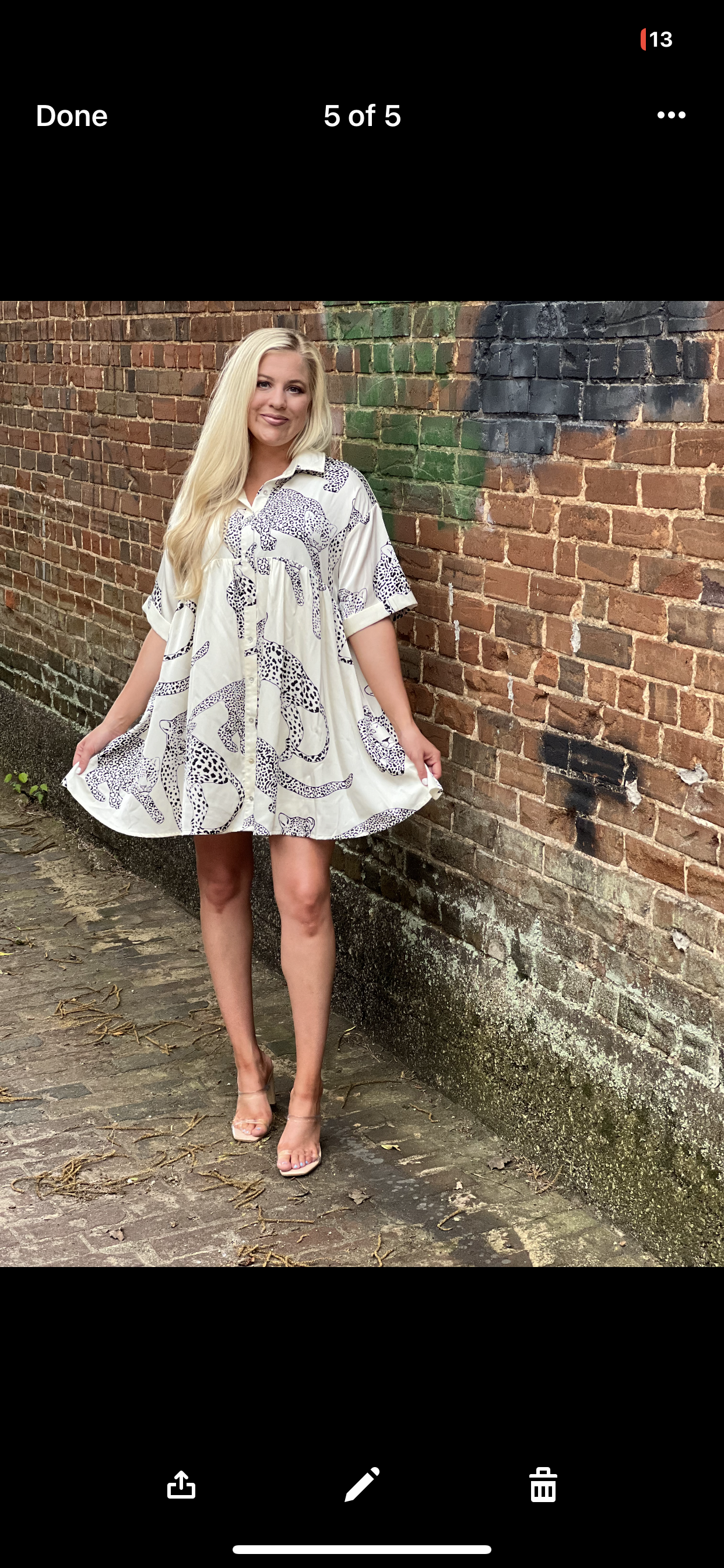 Entro Cheetah satin button up dress