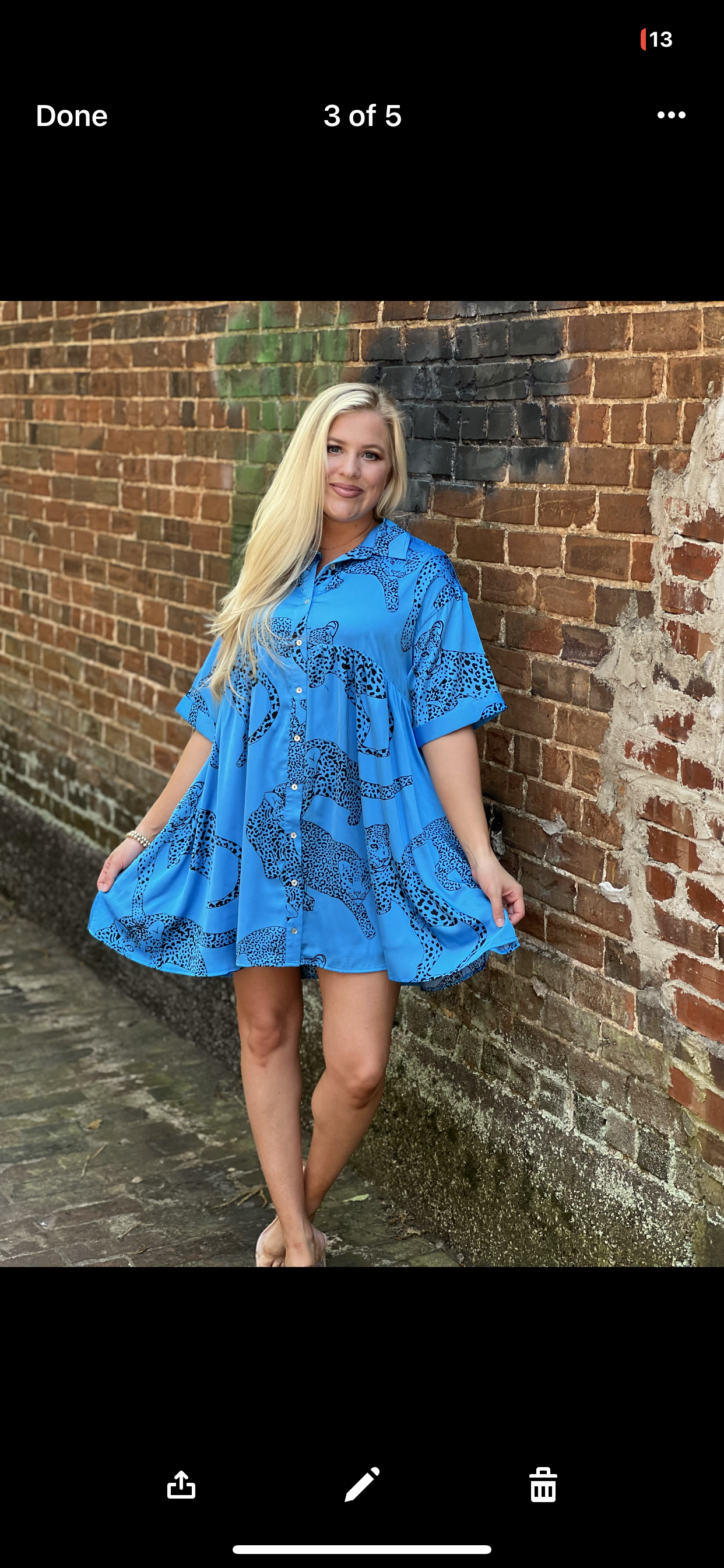 Entro Cheetah satin button up dress