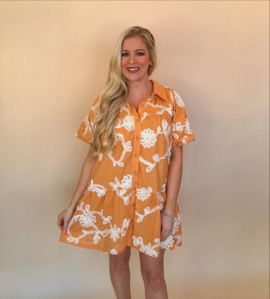 Entro button down dresses with raised detailing