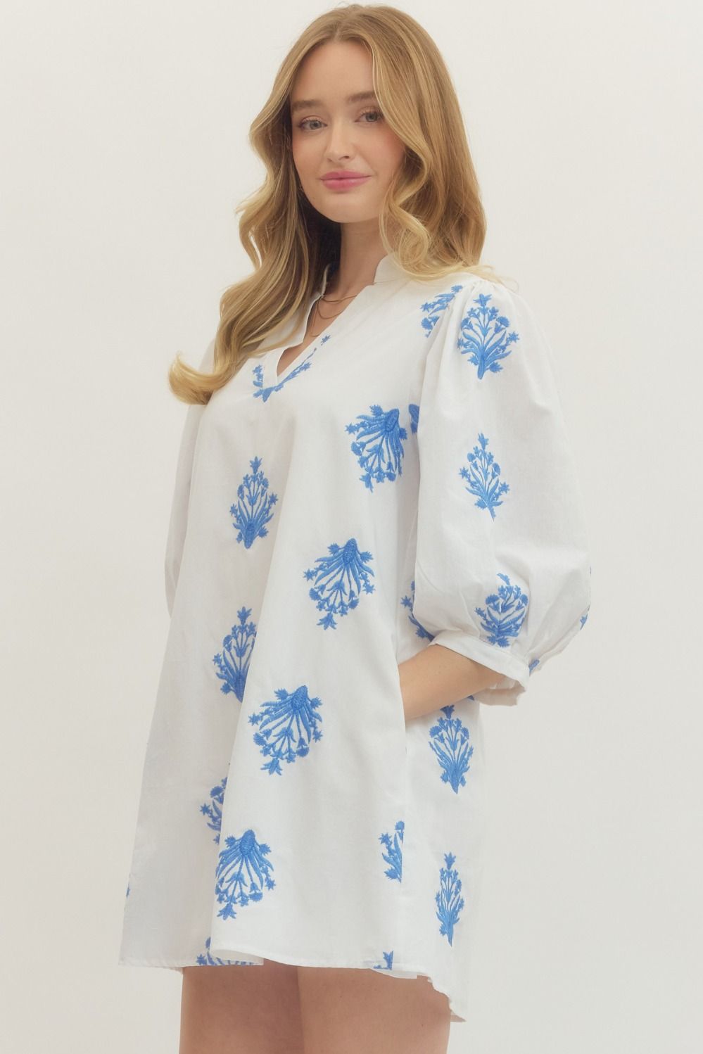 Entro white & powder blue embroidered dress
