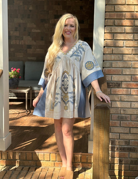 Blue velvet embroidered dress